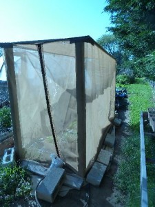 Pollination Cage for seed production of strawberries